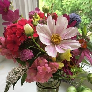 Meet your Posher, Claudia